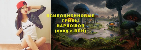 крисы Бородино