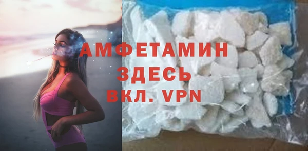 крисы Бородино