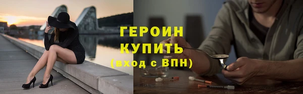 крисы Бородино