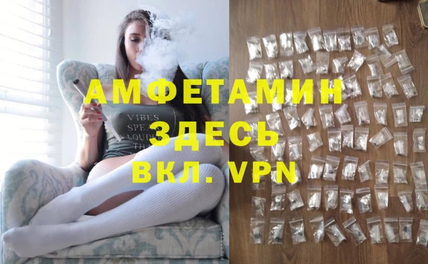 крисы Бородино