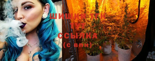 apvp Верея